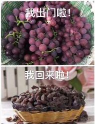 -乐智小天地(凯德梦之龙店)