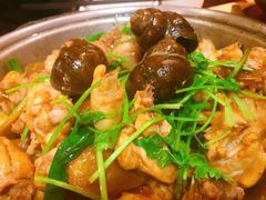 -芳村榕树头叹佬鸡煲(体育西店)