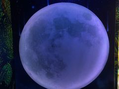 -梵高星空艺术馆(北京旗舰店)