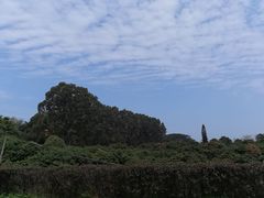 -东莞植物园