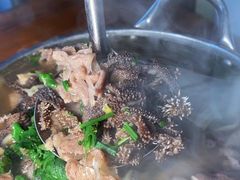 -周记翘脚牛肉