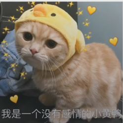 -黛蓝形象定制