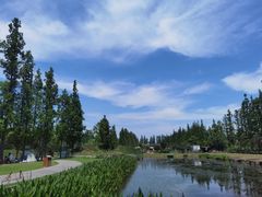 -前小桔亲子创意农场·草莓采摘·露营烧烤