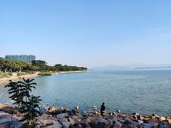 -深圳湾公园(南山区)