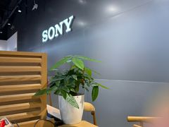 -Sony Store索尼(广州正佳店)