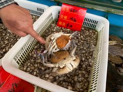 -金海湾海鲜排档(朱家尖店)