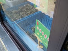 -召稼楼永茂昌粽子大王