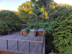 -深圳仙湖植物园