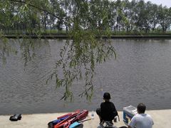 -白渔泡湿地公园