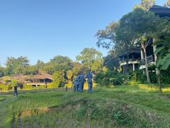 -四季酒店下午茶