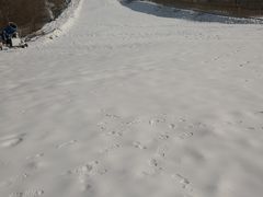 -东方巨龟苑景区