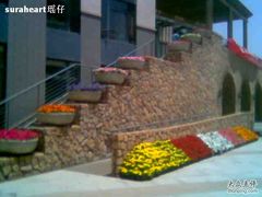 -同济大学(嘉定校区)