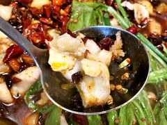 麻辣石锅鱼-都江堰石锅鱼