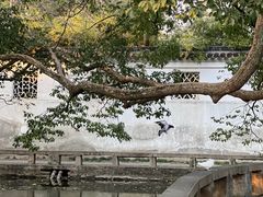 -西园寺