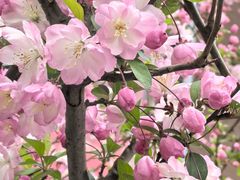 -龙湖冠寓(上海闵行星悦荟店)