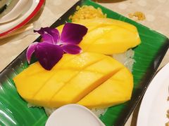 -Jungle Kitchen