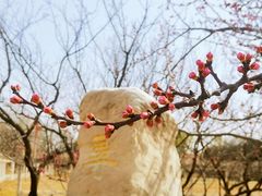 -绿堤公园