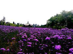 -杭州城北体育公园