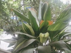 -花迹(富春江东街店)