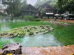-静安公园(静安寺街道)