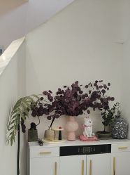 -WENDY·温迪皮肤管理