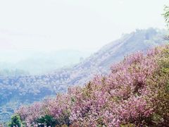 -小绿谷公园