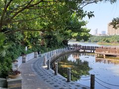 -南宁南湖公园