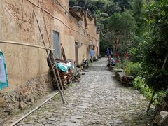 -杨家堂村