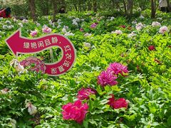 -太阳宫公园