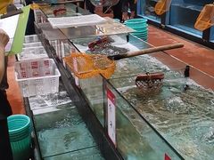 水产区-仑头海鲜城(仑头环村南路店)