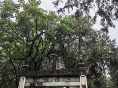-南阳卧龙岗武侯祠