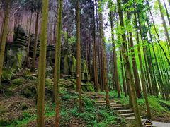 -山王坪喀斯特国家生态公园