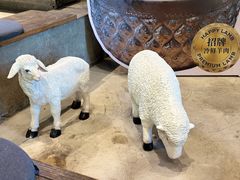 -快乐小羊(富强中路店)