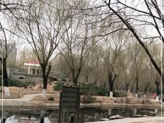 -丰台科技园生态主题公园