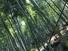 -众神白水涧景区