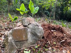 -中国科学院西双版纳热带植物园