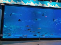 -烟台海昌鲸鲨海洋公园