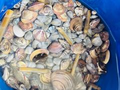 -北海金海湾红树林生态旅游区