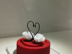 -罗红摄影艺术馆