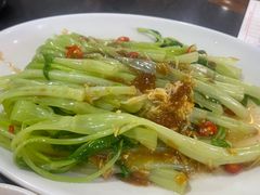 椒腐通菜-品香排骨饭(羊官路店)