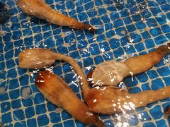 -肥福排档(星光店)