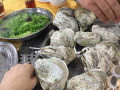 特大蒸生蚝-蚝专家(北滘店)