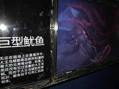 -同济大学四平路校区深海探索馆
