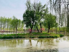 -东郊湿地公园