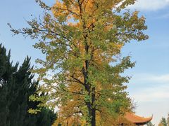 -苏州碑刻博物馆