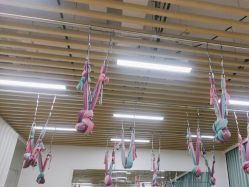 -玛尼瑜伽·普拉提