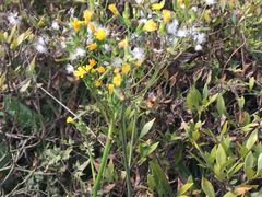 -仟吉KenGee(五里牌店)