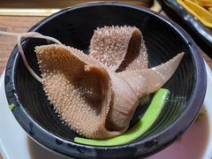 -九鼎轩脆毛肚火锅(三钢里店)