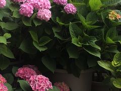 -万润国际酒店用品市场
