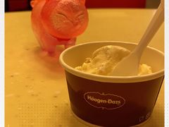-哈根达斯(国瑞店)